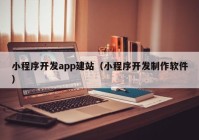 小程序开发app建站（小程序开发制作软件）